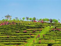 �S�����r��I�Ԙ˜ʻ����_������Ʒ�|�ò�