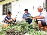 ���Lο��Óؚ��