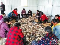 Óؚ���c�������a����