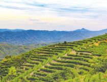 �S�h�ݵ�患�����볚� һ���~���¸�