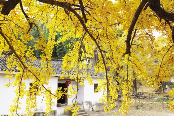 �����^����ǧ���y�ӹ�