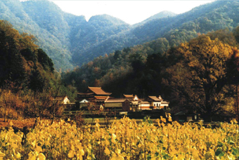 �S�ݴ��ɽ���Ҽ��L�����م^