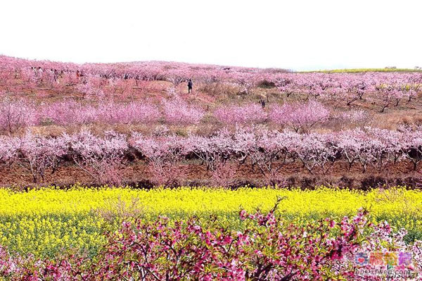 ���С����һ�ʢ�_�ĵط�