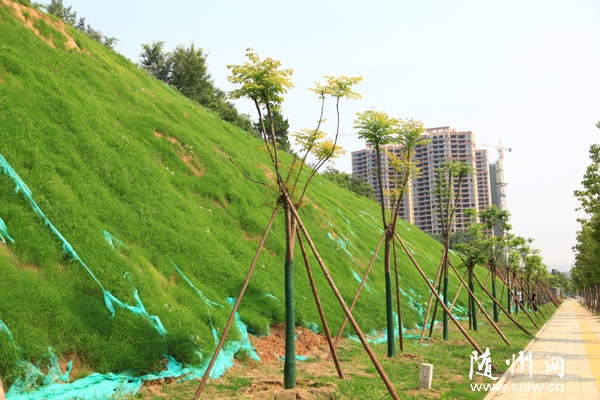 ɽ·��һɫ�����S���е�·���O(sh��)�c���B(t��i)�ޏ�(f��)����