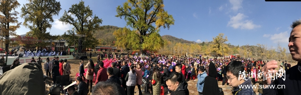 �y�Ә������������y�ӹȡ����ｻ��������e��