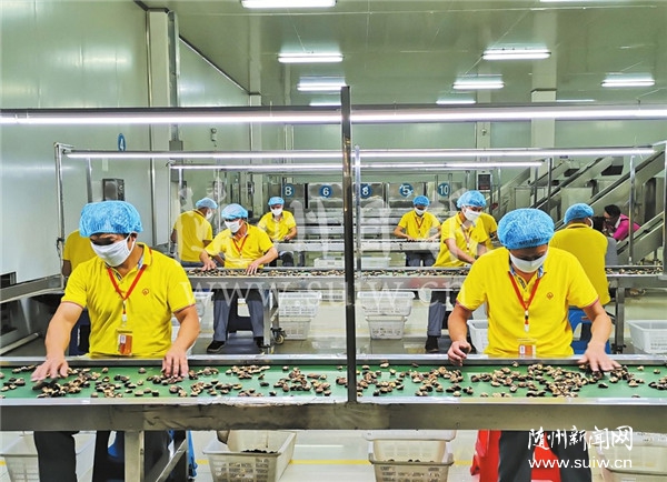 �㹽�u�W(w��ng)���N�ۻ�