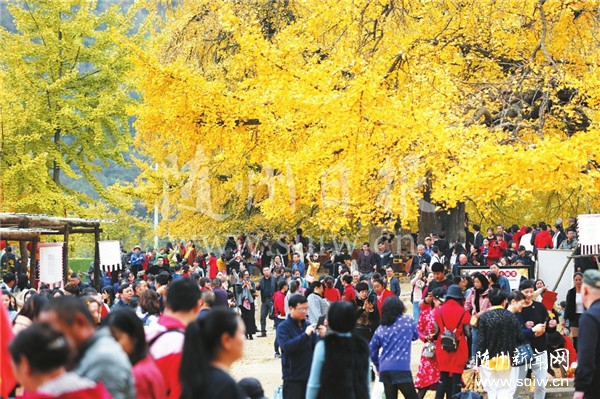 �����y�ӹȾ��^ӭ���ο͸߷�