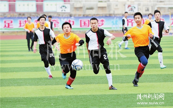 �S����2019����С�W�������ِ�_ِ