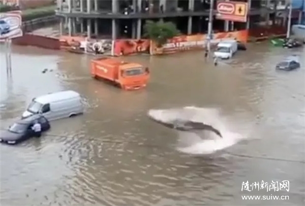 �o�����{���P�����ݱ�����@Щ��Ϣ�e�ńe��