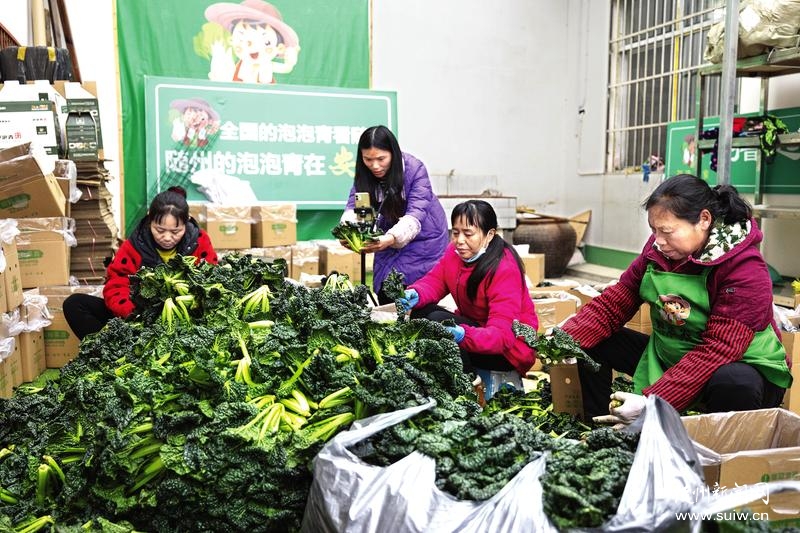 �S�h�����(zh��n)���S���������N��ȫ������