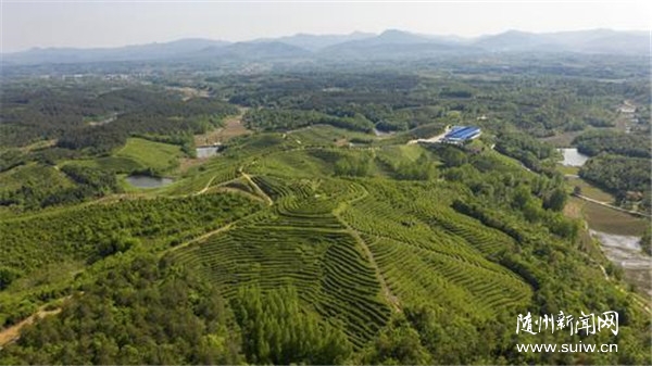 �����ɽ�������h����(n��i)�� �����������dʳƷ�����S�ݲ��~���ڡ���Ԓ��