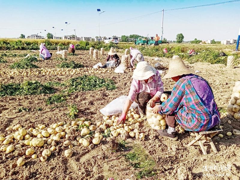 ���^(q��)�����(zh��n)����ϲ�@�S��