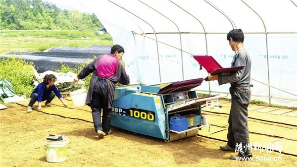 �S���㵾����