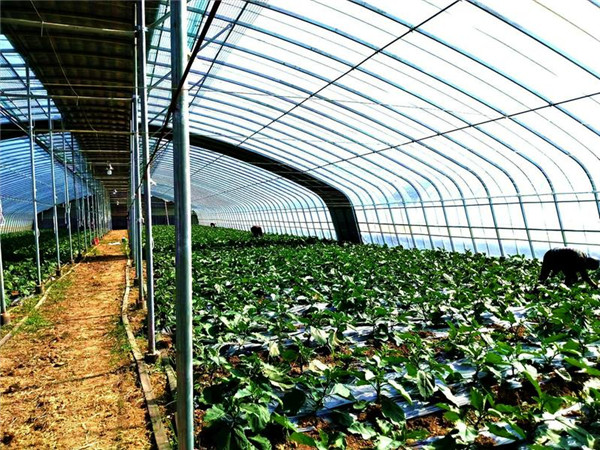 ����悛�̶䁴壺19����102�f�����ﱼ��·