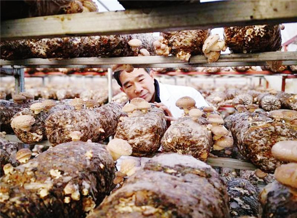 ���患��S�����㹽���ȡ���������