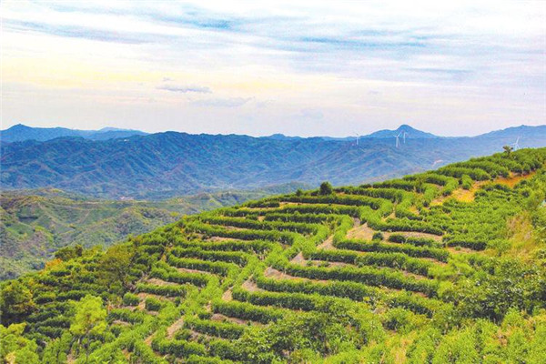 �S�h�ݵ�患�����볚� һ���~���¸�