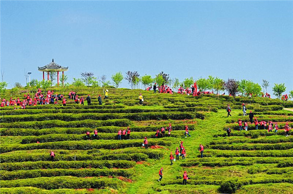 �S�����r(n��ng)��I(y��)�Ԙ�(bi��o)��(zh��n)�����_������Ʒ�|(zh��)�ò�