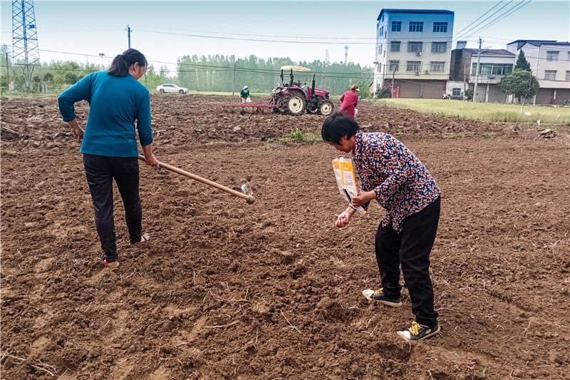 ����߀����Næ