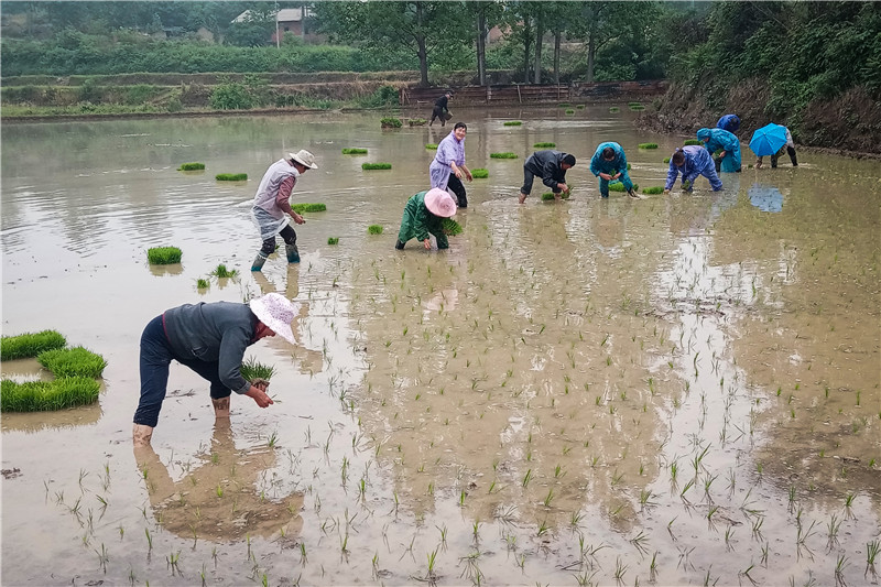 �S�ݸ��^(q��)�����(zh��n)�_չ�Ĳ����a