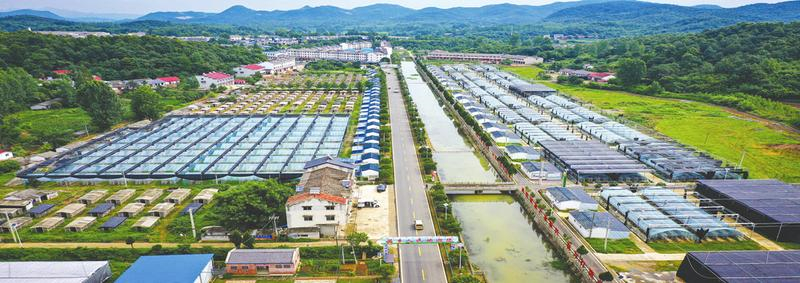 �S���д�����҃����㹽�a�I��Ⱥ̽�L