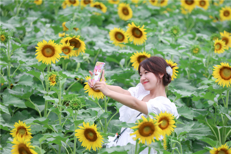 ���I�Nֲ��Ч��