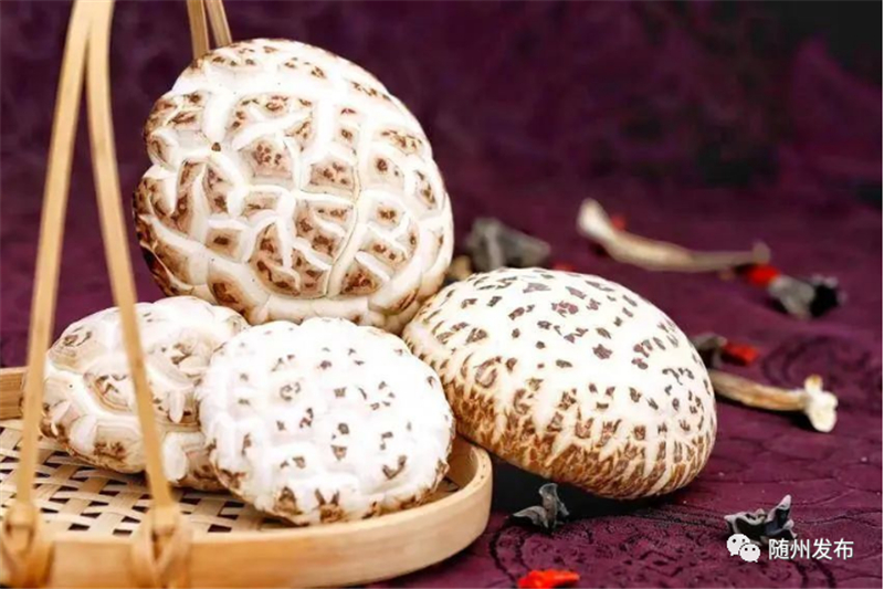 �S�h�r�aƷ����ȫʡ��һ