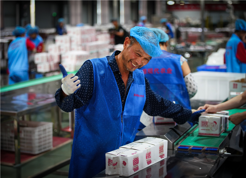 ���������㹽�u����