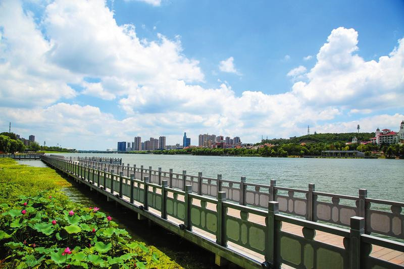 �����S�� �����箋