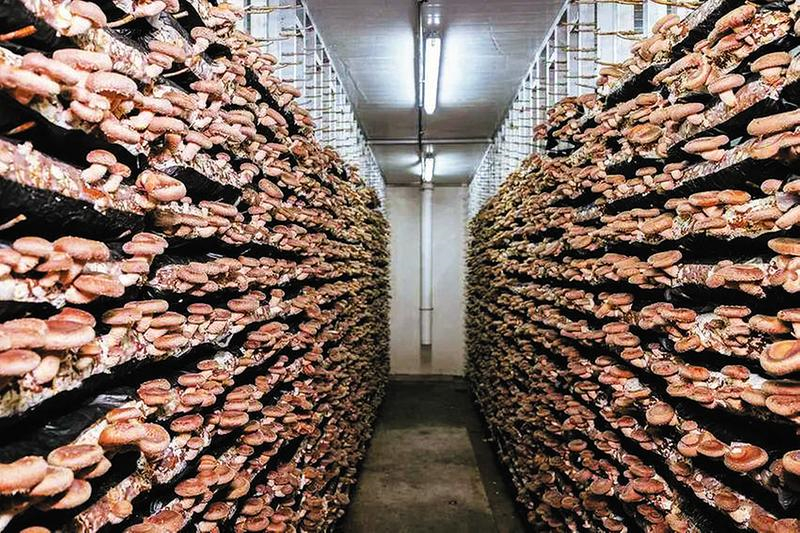 ��һ�乽������@�G�� �����S�h�㹽�a�I�ĳ��L�c͑׃