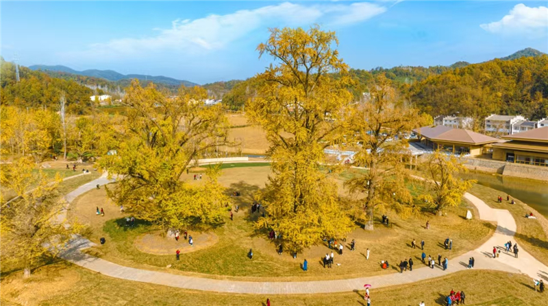 ���h�Ѕ^ί��ӛ�LՄ����𩣺���ˌ���ȫ���ُ�ȫ�������lչ�|Ч ��ȫ�и��|���lչ��������^Ӳ��֧��