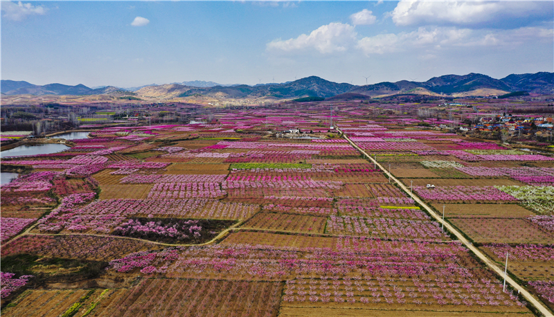 �����|���lչ����С��ƿh��A��ɽ�壺�����һ������L �����������������r