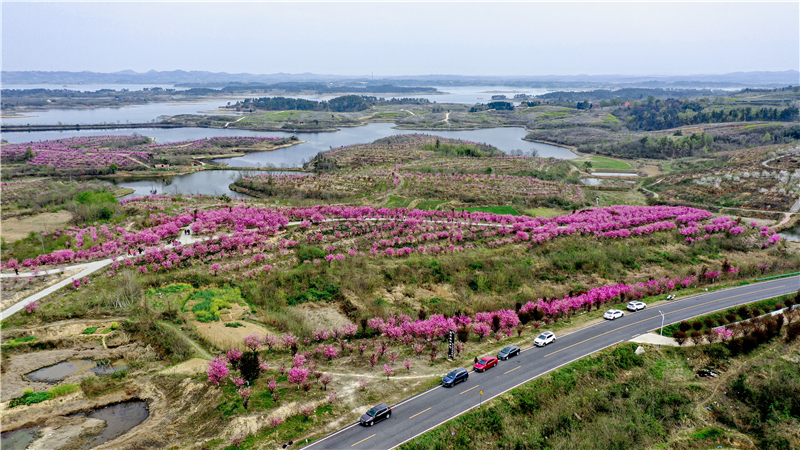 һ·�L�⣡�������L�����S��������·