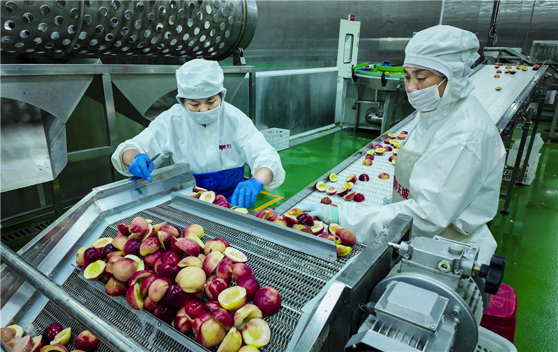 �����|���lչ����С��������Y��2�|Ԫ�����¬F���r�I�ġ�С�֘ӱ���