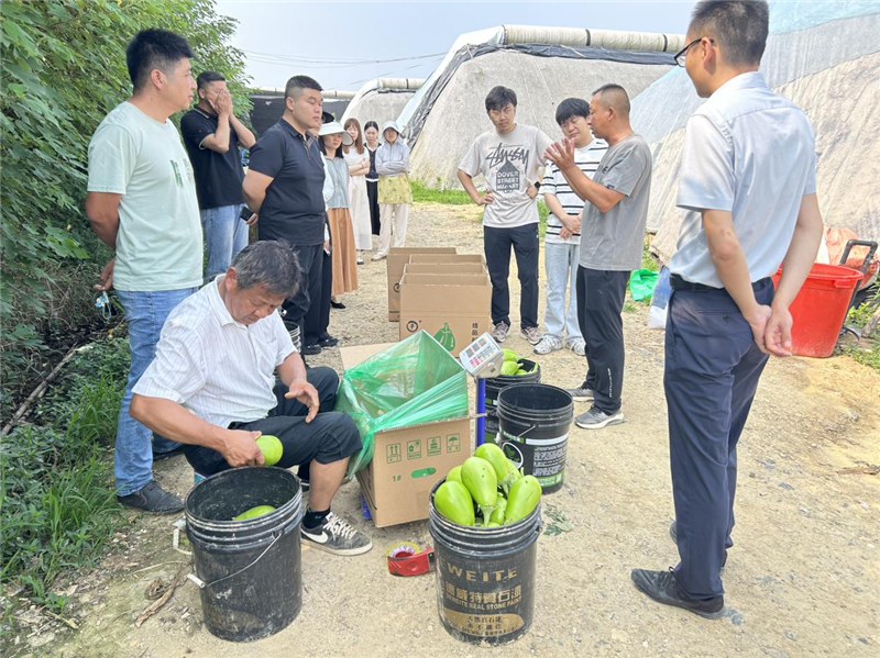 �S�h����患����g���^���湦