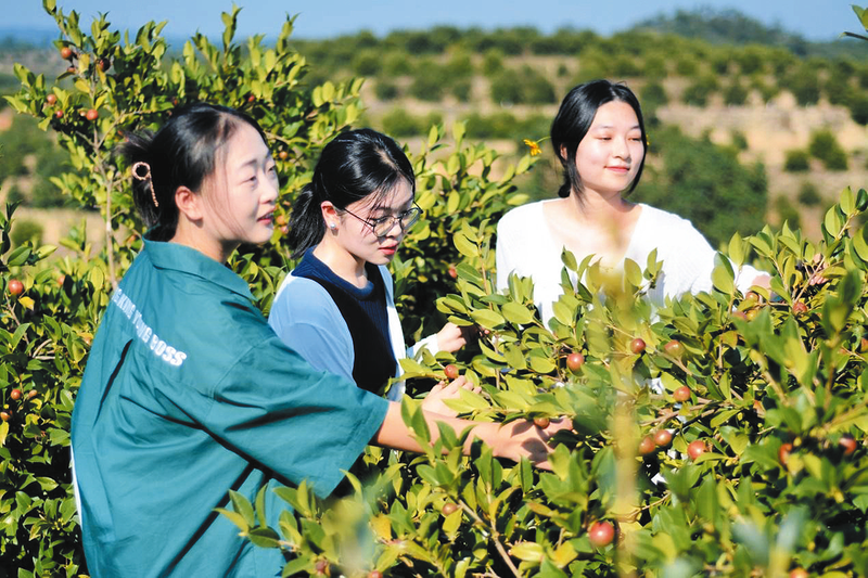 ���Ͳ�a�I���ϡ�AI����� �����S�h��̶��Ըɲ����ܞ�a�Iע���»���