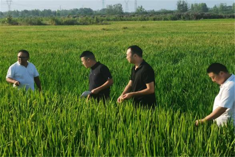 �����ؔ�����_չ��헺˲����δ弉�������A