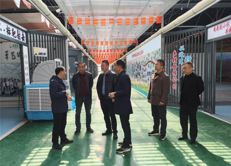 ����患��l�]�y������ ��������lչ