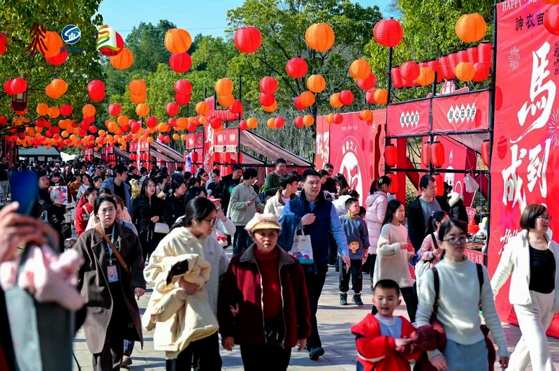 ���Zȡ�_�T�t���S�����Ì��F�´����_�T�t��