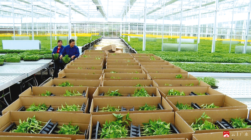 ���l���С��Vˮ���Ƽ��������������� �������a��ò�